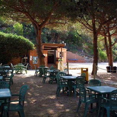 Pola Camping 또사데마르 외부 사진